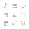 Set line icons of digestive system