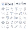 Set of Line Icons of Anatomy and Physiology