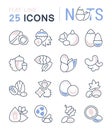 Set Vector Flat Line Icons of Nuts