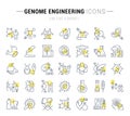 Set Vector Line Icons of Genome Engineering. Royalty Free Stock Photo