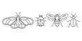 Set line insect Beetle, Butterfly, Bee, Ladybug