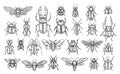 Set of line insects Royalty Free Stock Photo