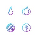 Set line Leaf or leaves, No meat, Pear and Pumpkin. Gradient color icons. Vector