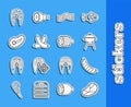 Set line Steak meat, Sausage, Barbecue grill, Bacon stripe, Crossed sausage, Fish steak and Salami icon. Vector