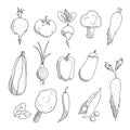 Set of linear hand drawn sketched vegetables: tomato, onion, beets, zucchini, eggplant, peppers, broccoli, peas, lettuce, carrot