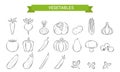 A set of linear icons for Vegetables, mushrooms, olives in Doodle style. . Design elements are hand-drawn and isolated on a white Royalty Free Stock Photo