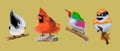 Set with little bright tropical rare birds. Multicolor tropical bright birds. Rainbow bird, big tuft, red breast