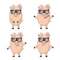 Set of little pigs Royalty Free Stock Photo