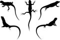 set of lizards black silhouette vector illustration