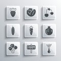 Set Location farm, Onion, Pomegranate, Carrot, Broccoli, Cucumber, Strawberry and Cherry icon. Vector