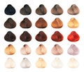 Set of locks of hair color samples