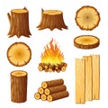 Set of logging, stumps and boards, woodpile and wood logs