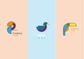 Set logo design geometric bright birds Royalty Free Stock Photo