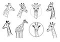 Set logo head giraffe sketch hand drawn Vector illustration Royalty Free Stock Photo