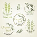 Set logo for organically grown food, vector.