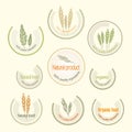 Set logo for organically grown food, vector