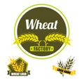 Set logo vector wheat factory. Circle green badge with gold Royalty Free Stock Photo