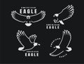 Set of logos. American eagle in flight on a dark background. Vector illustration. Royalty Free Stock Photo