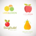 Set of logos for fruit organic company, fresh juice or cocktail bar. Colorful slices of pineapple, lemon, lime, grapefruit and Royalty Free Stock Photo