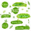 Set of logos, stamps, badges, labels for natural eco products, farms, organic. Floral elements and grungy texture. Green