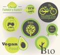 A set of logos on veganism, ecology, farm products and organic natural fruits and vegetables. Flat icons of
