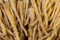 Set of long beige root coriander many fruits base vegetable basis ingredients vegan soup healthy appetizer