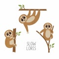 Set of loris on tree branches. Cute lorises vector illustration collection.