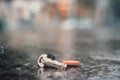 Set of lost keys on the ring on wet ground on the street Royalty Free Stock Photo