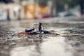 Set of lost keys on the ring on wet ground in the street