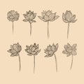 Set Lotus flower collection vector illustration with line art Royalty Free Stock Photo