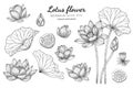 Set Of Lotus Flower And Leaf Hand Drawn Botanical Illustration With Line Art On White Backgrounds