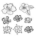 Symbol of Buddha with floral.Hibiscus flower vector.