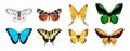 Set of lovely butterflies from different form on white background. Vector beautiful summer butterflies in cartoon style Royalty Free Stock Photo