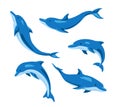 Set of lovely dolphins from different angles on white background. Vector beautiful characters dolphins in cartoon style