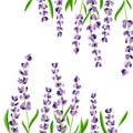 Set of lovely lavender flowers