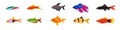 Set of lovely small fish from different form on white background. Vector beautiful aquarium fish in cartoon style