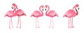 Set of loving couples of pink flamingos