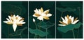 Set of luxury botanical wall art posters, prints. White and shiny golden lotus on dark green watercolor background.