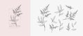 Set of luxury flowers and logo. Trendy botanical elements. Hand drawn line leaves branches and blooming. Wedding elegant