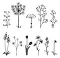 Set of luxury flowers and trendy botanical elements. Hand drawn line leaves branches and blooming. Wedding elegant wildflowers for