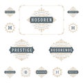 Set Luxury Logos template flourishes calligraphic Royalty Free Stock Photo