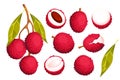 A set of lychee fruits.Exotic fruits, berries with leaves, half a lychee, a twig with lychee.