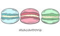 Set of macaroons blue red green delicate colors drawn vector illustration.
