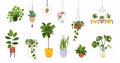 Set of macrame hangers for plants growing in pots. Flowerpot isolated objects, houseplant flower pot collection