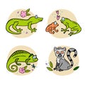 Set of Madagascar animals. Hand drawn vector illustration
