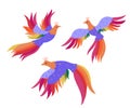 Set of magic birds isolated on a white background. Vector graphics Royalty Free Stock Photo