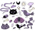 set of magical amulets, symbols and witchcraft beasts. Black cat and snake, crow and beetle, moth and butterfly. Vector