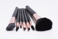 A set of make-up brushes