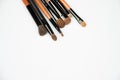 Set of make up brushes on white