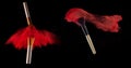 Set of makeup brush with red powder explosion on black background Royalty Free Stock Photo